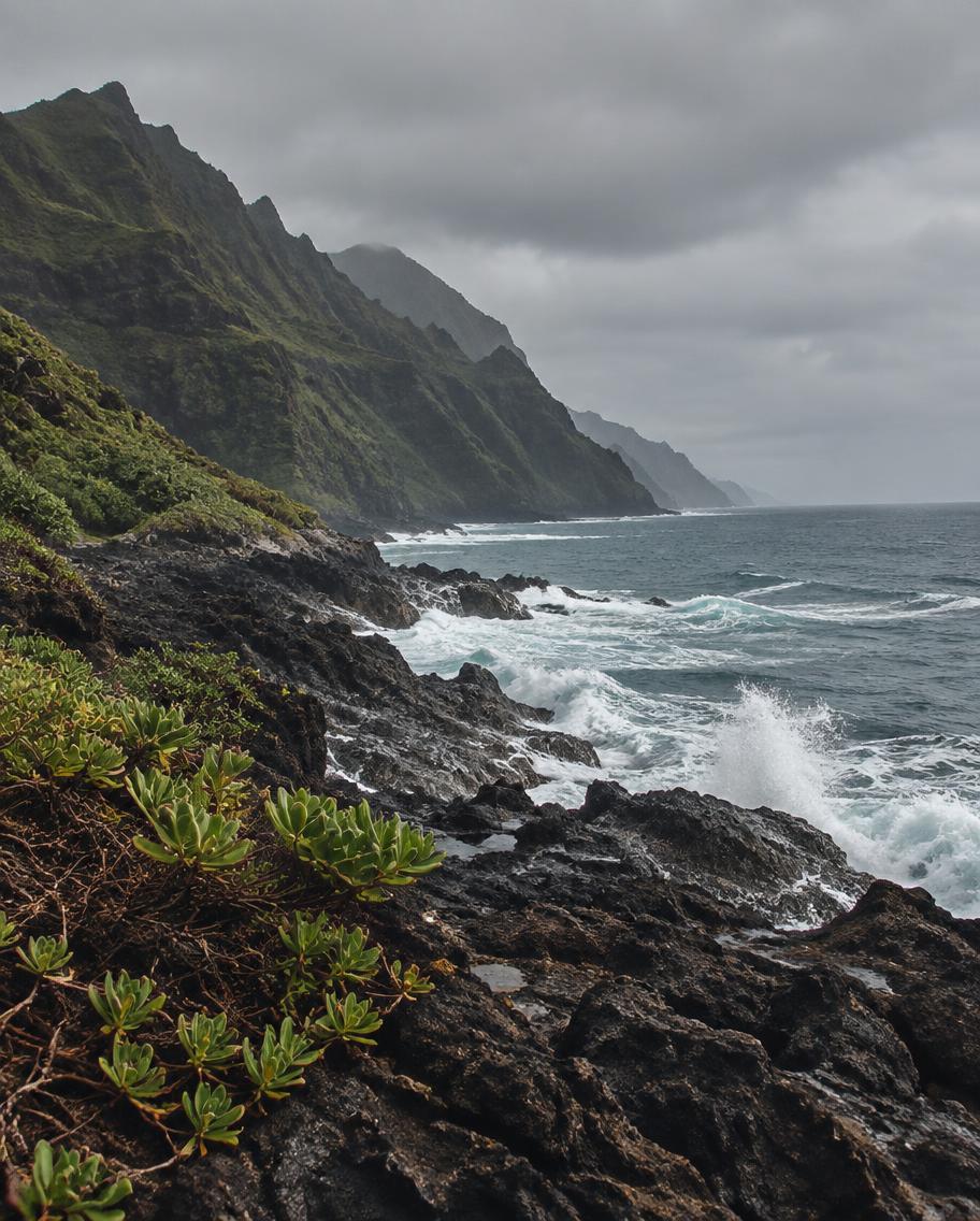 Rugged volcanic shoreline on Kauaʻi with breaking surf